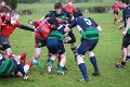 Monaghan 1st XV Vs Cavan 1st XV - Jan 24th 2015 (19)